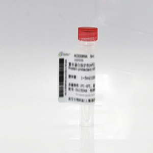 載脂蛋白A1(ApoA1)抗原
